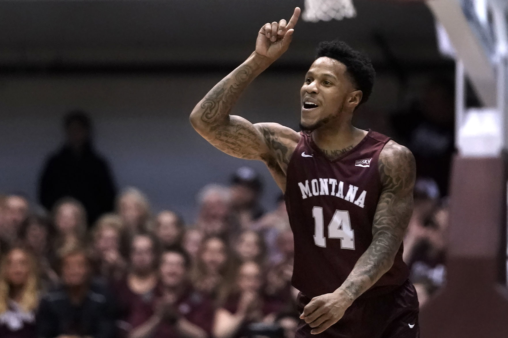 Griz v Cats-22-tm.JPG